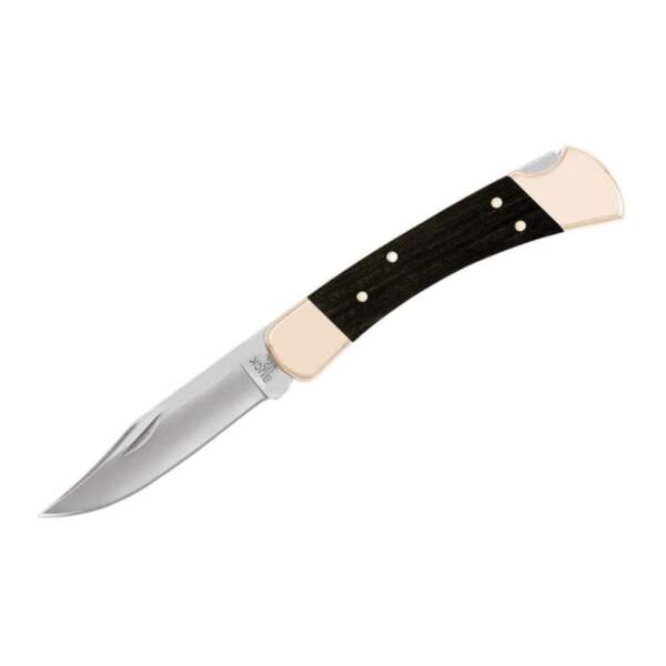 Buck Knives 110 Folding Knife